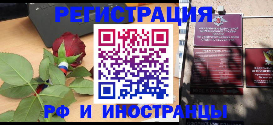 найти адрес прописки в Шебекино